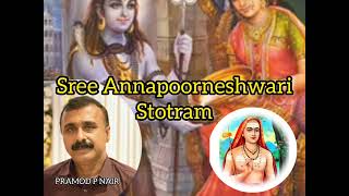 Sree annapoorneshwari stotramsri sankaracharyaഅന്നപൂർണേശ്വരി സ്തോത്രം PRAMOD P NAIR [upl. by Einre]