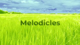 Wind Away ウィンドアウェイ by Melodicles  メロディクルス [upl. by Jaqitsch13]