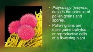 define palynology  pollengrains and newpalynology application in botany [upl. by Ayotan]