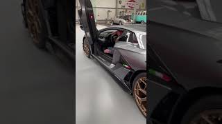 🙄 Problemchen beim Aussteigen aus einem Lamborghini 🐃🚗 [upl. by Dareece]