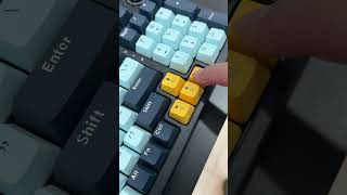 Keyboard Gaming Mechanical Fantech Atom 96 V2 Fullsize Sound Test keyboard keyboardgaming [upl. by Etiuqal]