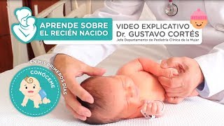 Aprende sobre el recién nacido  Vídeo explicativo [upl. by Lepine]