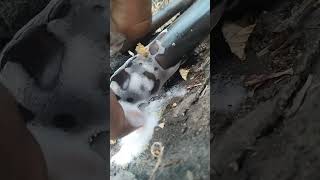 ductable AC mein pipe leakage kaise check Karen [upl. by Ced]