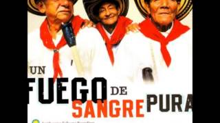 Los Gaiteros de San jacinto Un fuego de Sangre Pura [upl. by Walters]