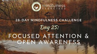 Focused Attention and Open Awareness  Guided Mindfulness Meditation [upl. by Alra47]