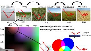 AGRICULTURAL FIELDS MONITORING WITH MULTI TEMPORAL POLARIMETRIC SAR CHANGE DETECTION [upl. by Meyers]