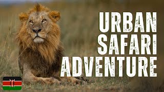 Nairobi National Park  A Safari in the Heart of the City [upl. by Sula]