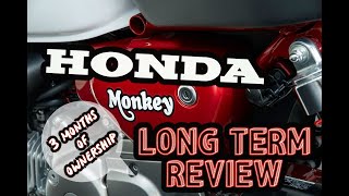 2019 Honda Monkey  Long Term Review [upl. by Enilrahc]