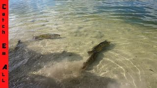 BEST FISHING SPOT IN FLORIDA for Peacock Bass [upl. by Yrrep81]