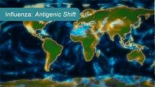 How Influenza Pandemics Occur [upl. by Maffa]