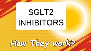 SGLT2 Inhibitors  How it helps in Reducing Diabetes [upl. by Siron]