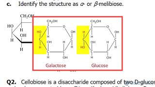 Glycosidic Bonds in Disaccharides Explained [upl. by Ilrac685]