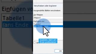 Einfach und Schnell ExcelDatenblätter Duplizieren amp Kopieren shorts microsoft didyouknow [upl. by Brie]