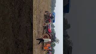 Tha kho bhai tractor ko kesy neekal [upl. by Barraza]