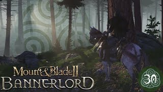 Mount amp Blade Bannerlord 2  A Noobs Journey Ep 30  Western Empire Falls [upl. by Nodnol]