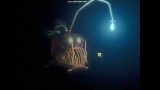 Finding Nemo 2003 Blenny eats the angler fish at the end of the Credits [upl. by Enelime]