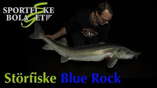 Störfiske Bluerock [upl. by Negrom78]