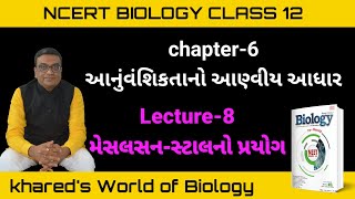 L08  Meselson–Stahl experiment  Molecular Basis of Inheritance  Ch6  Class 12 [upl. by Anaehr]