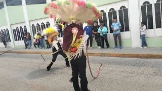 carnaval Papalotla 2024  barrio de Xaltipa culebra [upl. by Fritze]