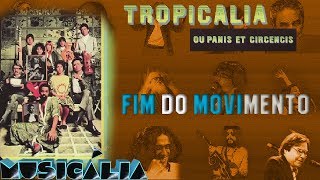 Tropicália ou Panis et circencis 3 O fim do movimento [upl. by Awhsoj254]