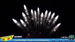 RA142097 Raccoon Fireworks 14G pro [upl. by Lelah629]