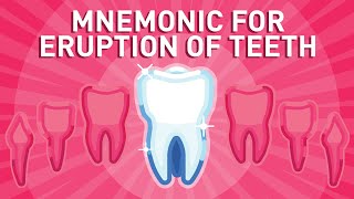 Eruption of Teeth  Mnemonic [upl. by Emmie]