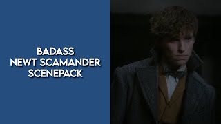 badass newt scamander scenes  fantastic beasts scenepack [upl. by Anirtruc173]