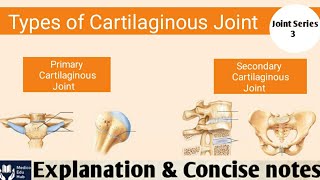 Cartilaginous Joint  Types  Primary and Secondary Cartilaginous Joint  in Hindi [upl. by Swart]