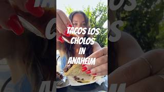 Tacos Los Cholos is an awardwinning taco spot that has been spicing up Anaheim since 2019 💃🌮 [upl. by Rhianna]