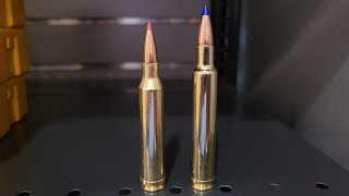 7mm Remington Mag vs 300 Weatherby Mag Magnum Madness Part 7 [upl. by Clotilda]