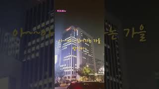 🎶나홀로서울seoul종각광화문종로가락지넋두리일장춘몽인생아리랑황진희kpop [upl. by Adnol]