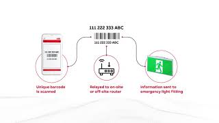 Stanilite Nexus®RF Infinity  next quantum leap in monitored emergency lighting [upl. by Yssep]