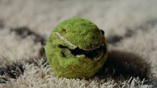 Nutrish Helping Dogs Dog Healthy tennis ball [upl. by Barcroft]