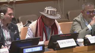 quotCapacity Building of Indigenous Peoples in Multilateral Diplomacyquot PFII Side Event [upl. by Niletak]