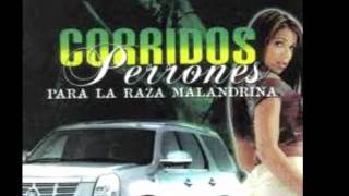 corridos perrones mix [upl. by Mixie461]