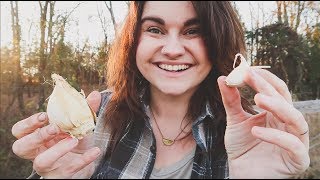 Planting Garlic With Ben  Gardening VLOG  Roots and Refuge Farm [upl. by Aiuqet]