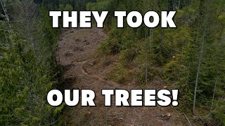 They Took Our Trees Part 1 [upl. by Astor]