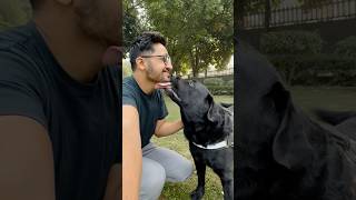 Lucky Ke Sath Outing doglover lucky [upl. by Castara]