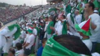 les supporteurs algeriens au stade du caire [upl. by Fisa]