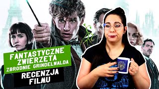 Fantastyczne Zwierzęta Zbrodnie Grindelwalda 2018  Recenzja Filmu  Bardziej RANT Full SPOILER [upl. by Donelson]