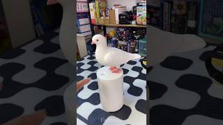 Amazing Piegeon😍। Best home gadget ।shorts trend magic shortvideo [upl. by Putscher]