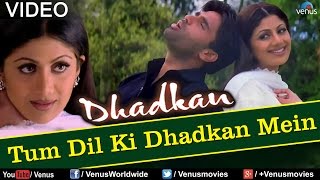 Tum Dil Ki Dhadkan Mein  Duet Dhadkan [upl. by Fitzger]