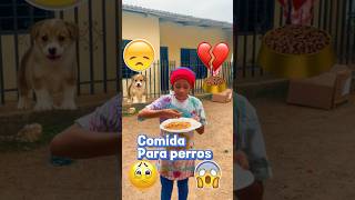 COMIDA PARA PERROS drama reels shortvideo viral [upl. by Golightly]