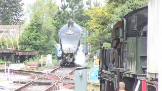 LNER 4464 Bittern at Churston Turntable 210513 23 [upl. by Hajin]