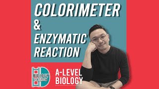 ALevel Biology  Colorimeter amp Enzymatic reaction [upl. by Ferree]