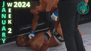 MMA amp Boxing Knockouts I January 2024 Week 2 [upl. by Oakes]