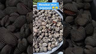 Menaikan imun Kolesterol 😂😄 oyster kerang makan makanan fyp fypshorts [upl. by Jennine]