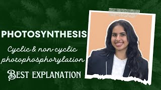 Photosynthesis  Part 4  NEET  Class 11  cyclic amp non cyclic photophosphorylation  Palak Narang [upl. by Hayman]