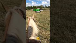 Horse Training with Roadside Challenges [upl. by Gwynne]