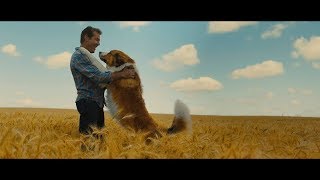 A Dogs Journey  Official Trailer HD [upl. by Greenberg]